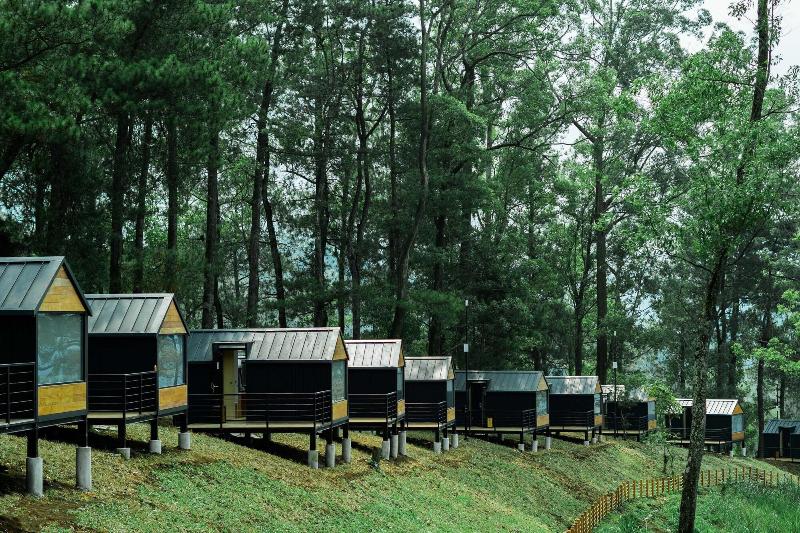 Bobocabin Coban Rondo Malang - Genel