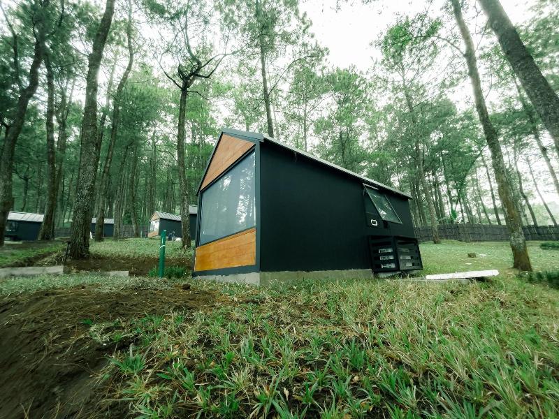 Bobocabin Coban Rondo Malang - Oda