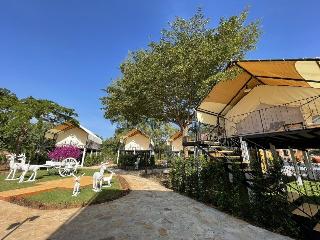Mont Blanc Base Camp Khao Yai fotoÄŸrafÄ±