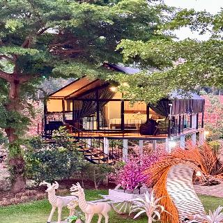 Mont Blanc Base Camp Khao Yai fotoÄŸrafÄ±