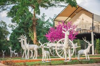 Mont Blanc Base Camp Khao Yai fotoÄŸrafÄ±