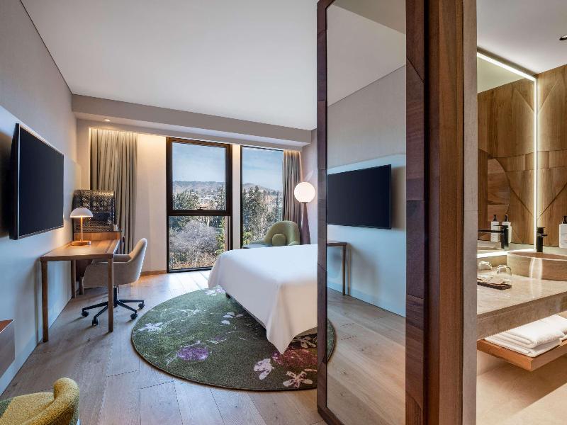 Swissôtel Tbilisi - Oda