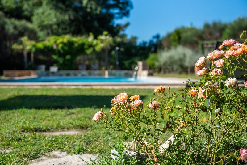 Cignella Resort - Havuz