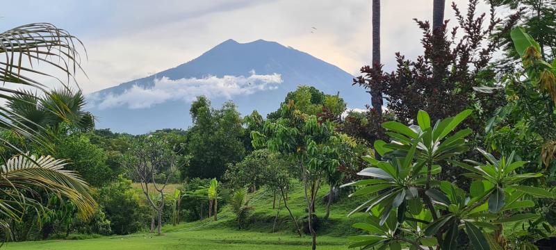 Palm Springs Bali Dive Resorts - Genel