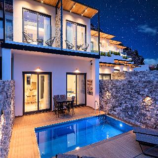 Aelia Suite