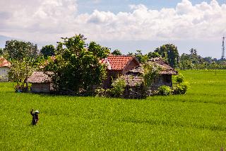 The Club Villas Lombok fotoÄŸrafÄ±