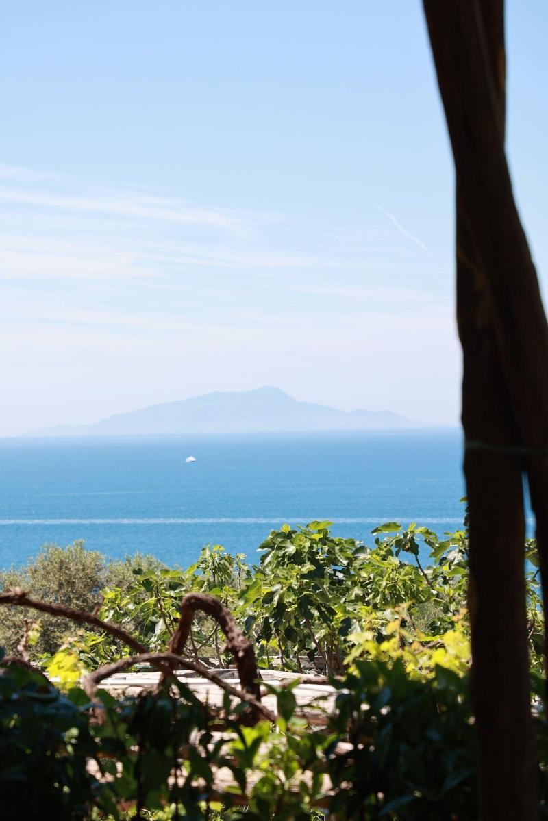Villa Puolo - With Private Sea Access - Genel