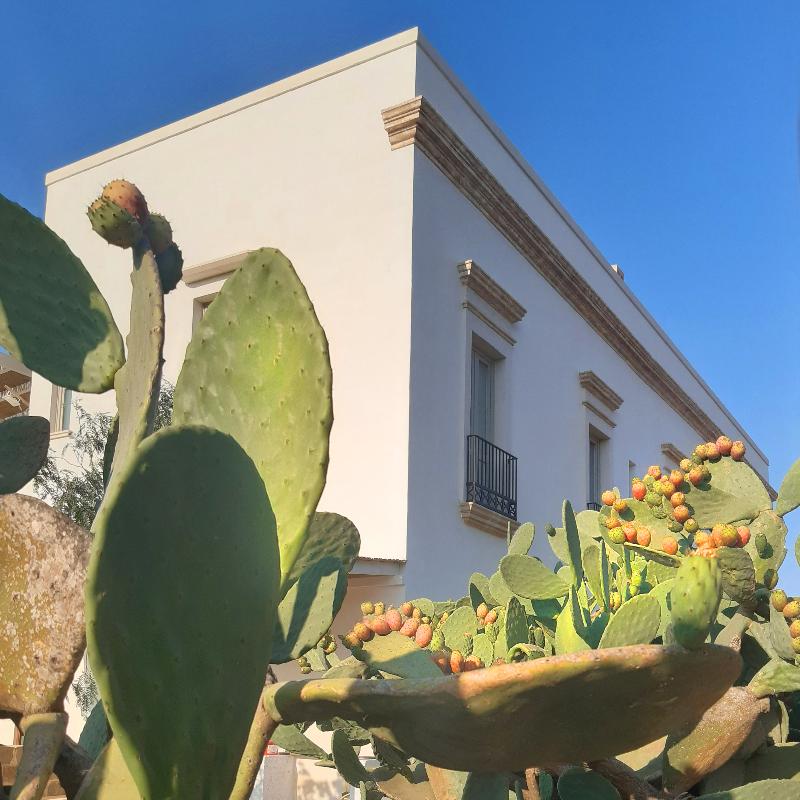 Masseria Macchiaforte - Genel