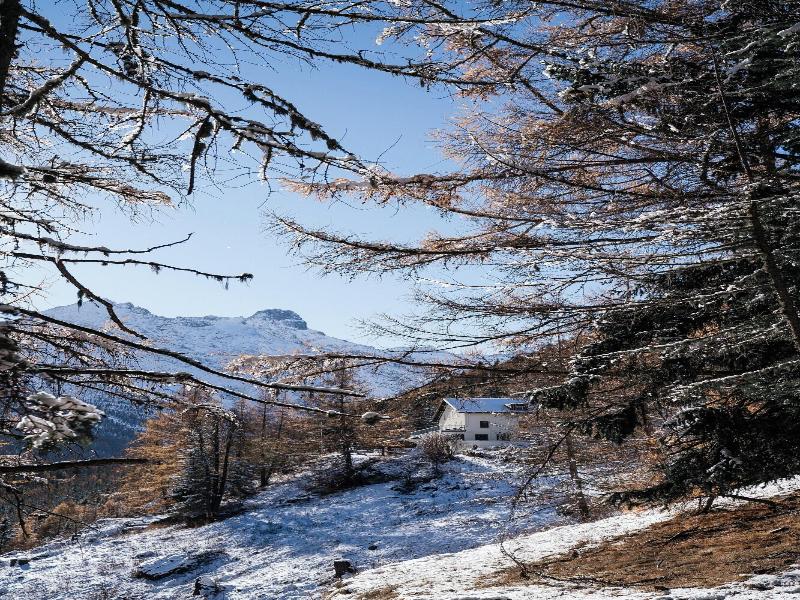 Waldhotel Fletschhorn - Genel