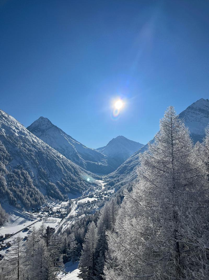 Waldhotel Fletschhorn - Genel