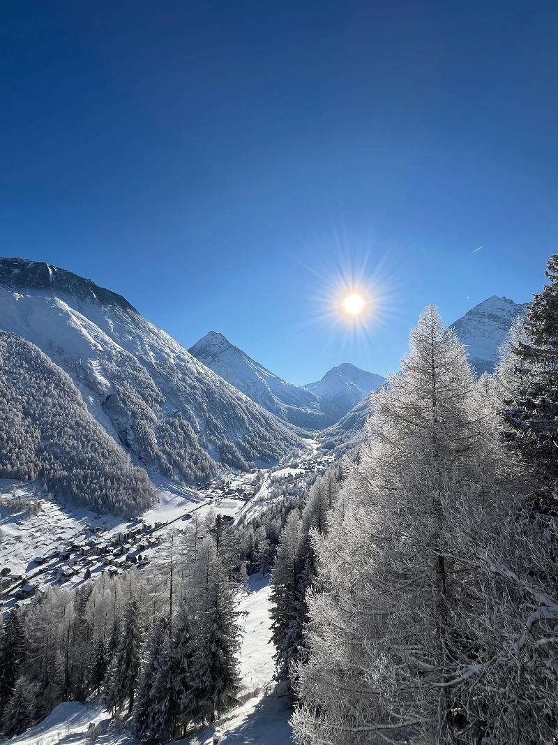 Waldhotel Fletschhorn - Teras