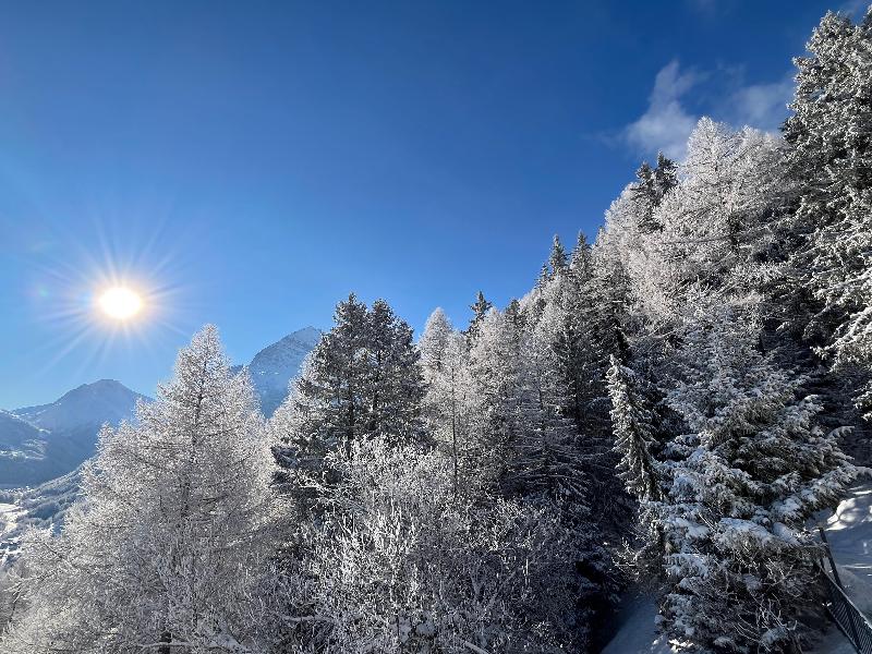 Waldhotel Fletschhorn - Teras