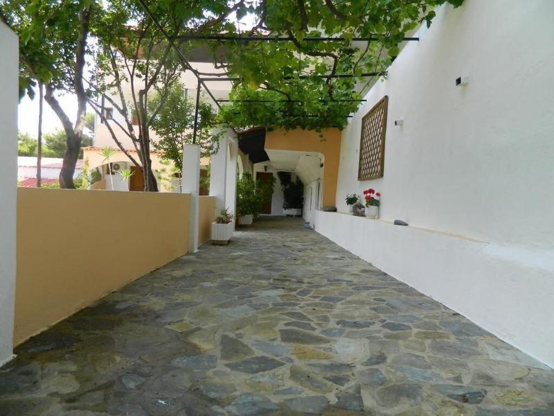 Asteri Studio's - Genel