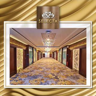 Selecta Hotel Medan fotoÄŸrafÄ±