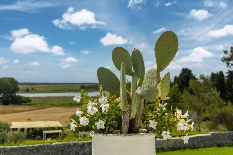 Baglioni Masseria Muzza Resort & Spa - Genel