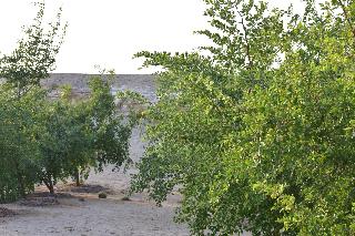 Wadi Sabarah Lodge fotoÄŸrafÄ±