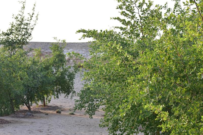 Wadi Sabarah Lodge - Genel