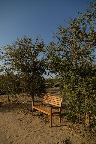 Wadi Sabarah Lodge fotoÄŸrafÄ±