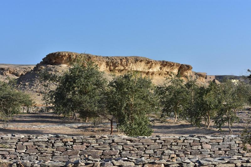 Wadi Sabarah Lodge - Genel