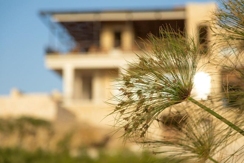 Wadi Sabarah Lodge - Genel