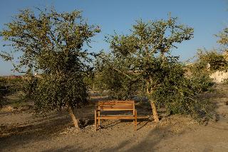 Wadi Sabarah Lodge fotoÄŸrafÄ±