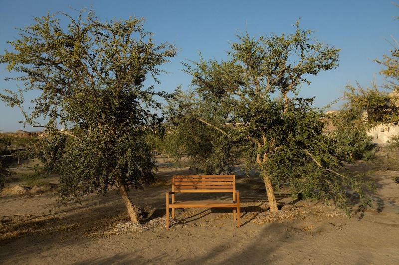 Wadi Sabarah Lodge - Genel