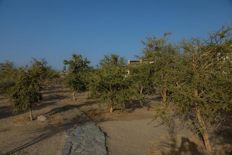 Wadi Sabarah Lodge - Genel