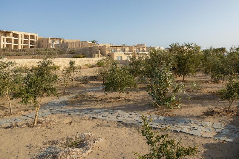 Wadi Sabarah Lodge - Genel