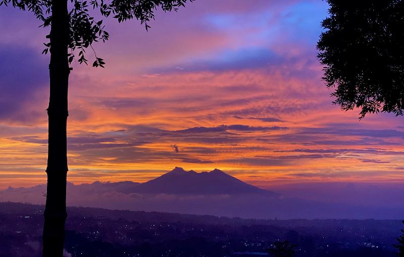 Alinson Sunset Hill By Zuzu - Genel