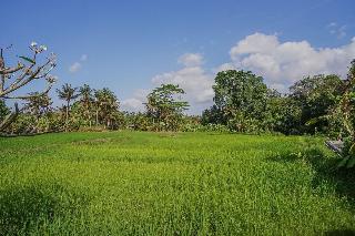 Nayaka Living Ubud By Zuzu fotoÄŸrafÄ±