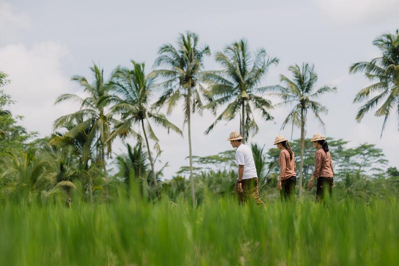 Metland Venya Ubud - Aktivite