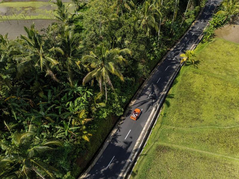 Metland Venya Ubud - Aktivite