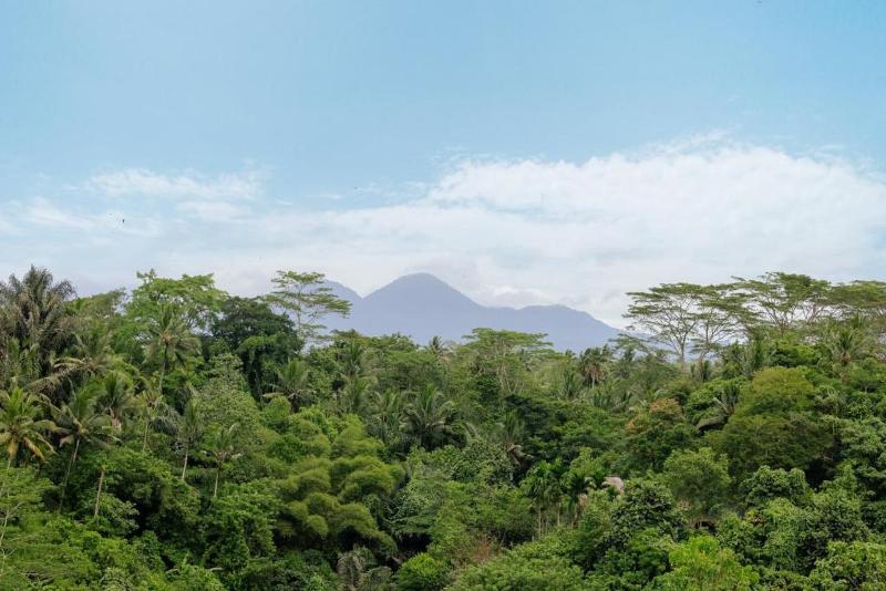 Metland Venya Ubud - Genel