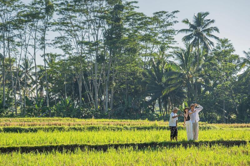 Metland Venya Ubud - Genel