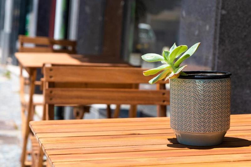 Arca Nova Guest House & Hostel - Genel