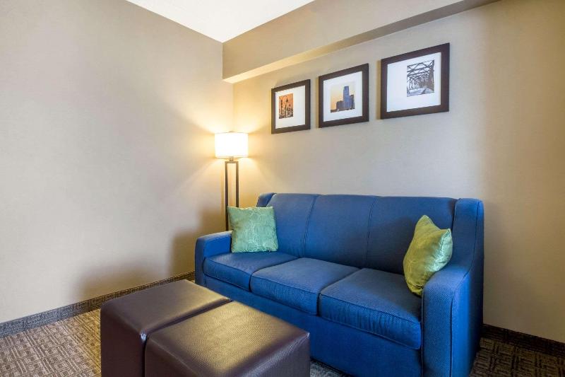 Comfort Suites at Woodbridge - Oda