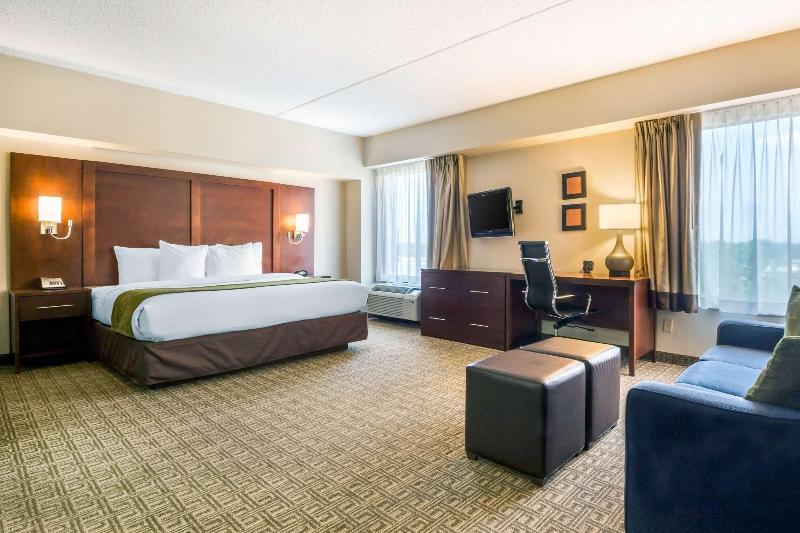Comfort Suites at Woodbridge - Oda