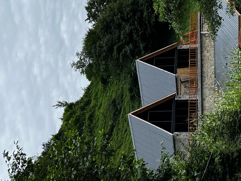 Mapi Bungalov - Genel