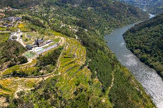 Quinta De Cabanas Douro Country House fotoÄŸrafÄ±