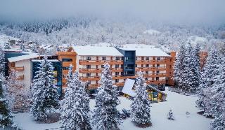 Bakuriani Inn otel fotoğrafı