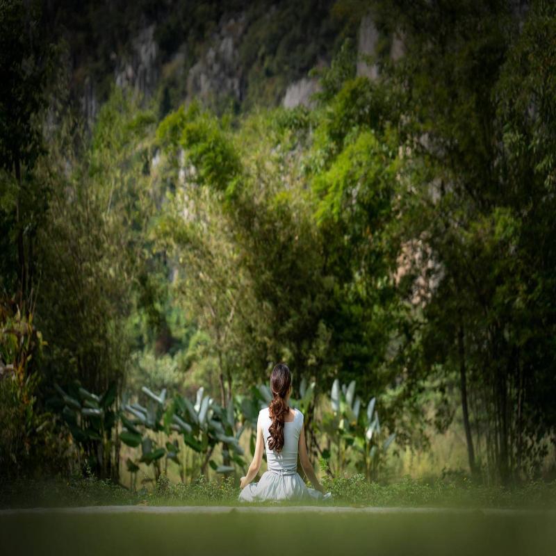 The Soul Resort - Genel