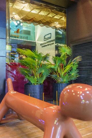 De Lux Bangkok Hotel fotoÄŸrafÄ±