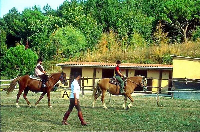 Toscana Wellness Resort - Aktivite