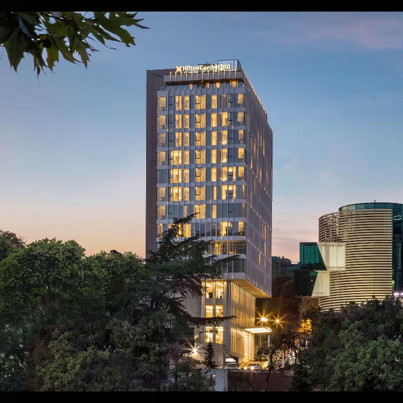 Hilton Garden Inn Tbilisi Riverview - Genel