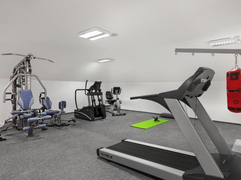 Mercure Szekesfehervar Magyar Kiraly - Aktivite
