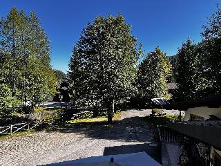 Bosco Verde fotoÄŸrafÄ±