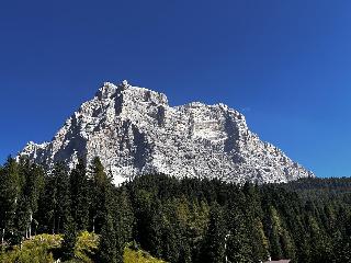 Bosco Verde fotoÄŸrafÄ±