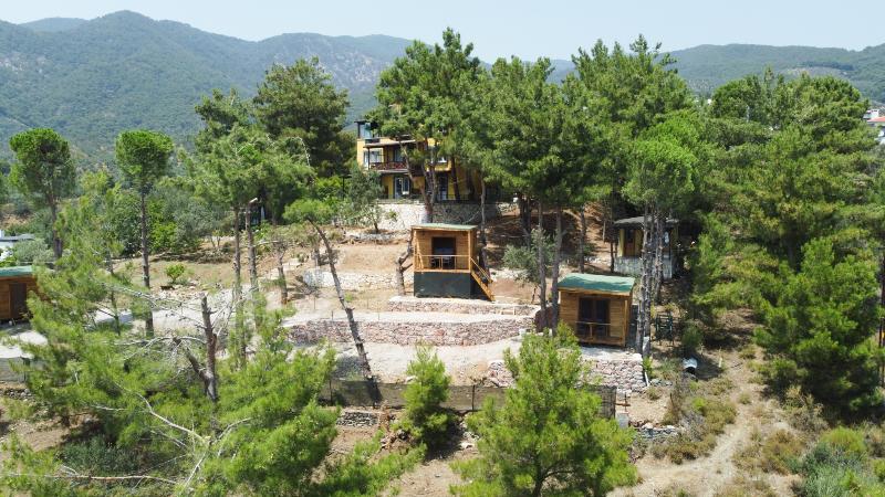 Sari Konak Butik Otel - Genel