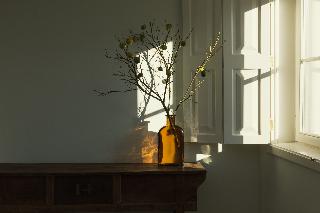 Libere Porto Laranjais fotoÄŸrafÄ±