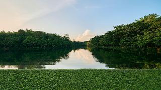 Intercontinental Khao Yai Resort fotoÄŸrafÄ±